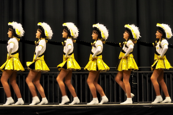 Kaju2011   103.jpg